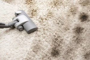 20% off first carpet cleaning | carpet cleaners in boynton beach