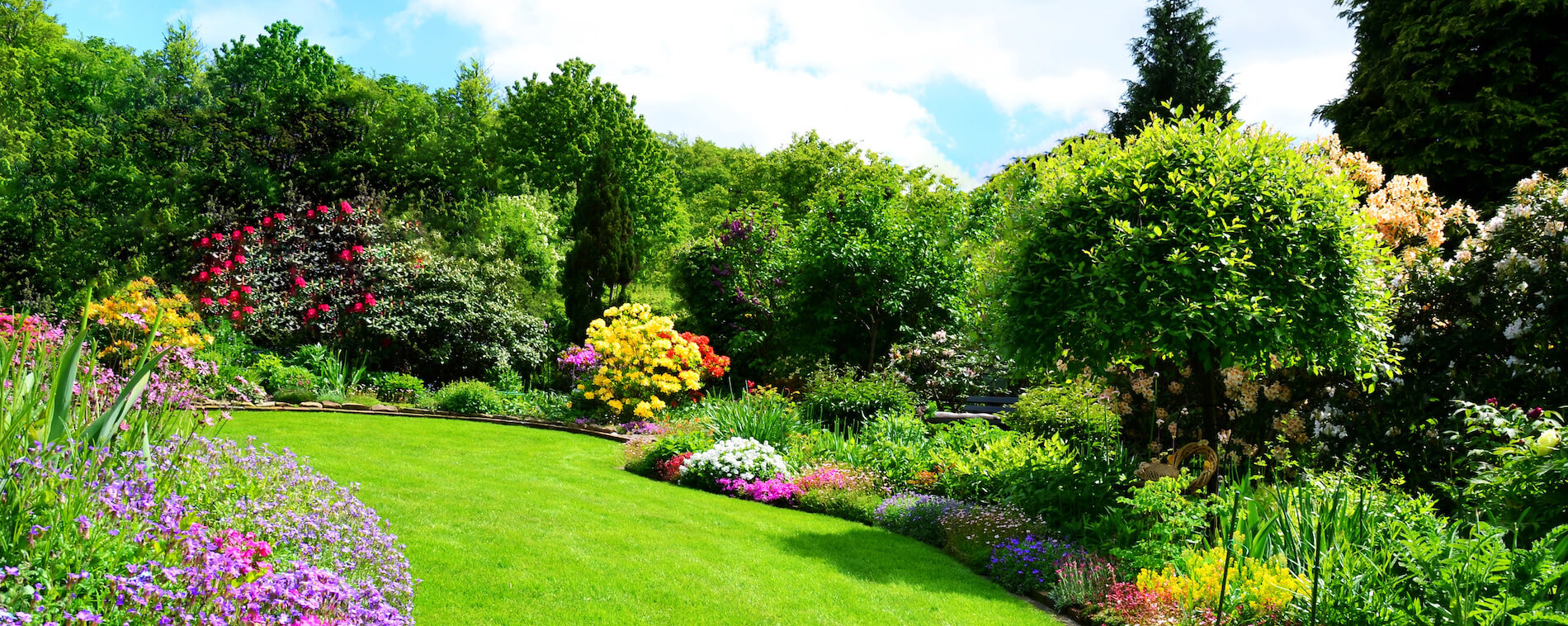 Environmentally Friendly Garden