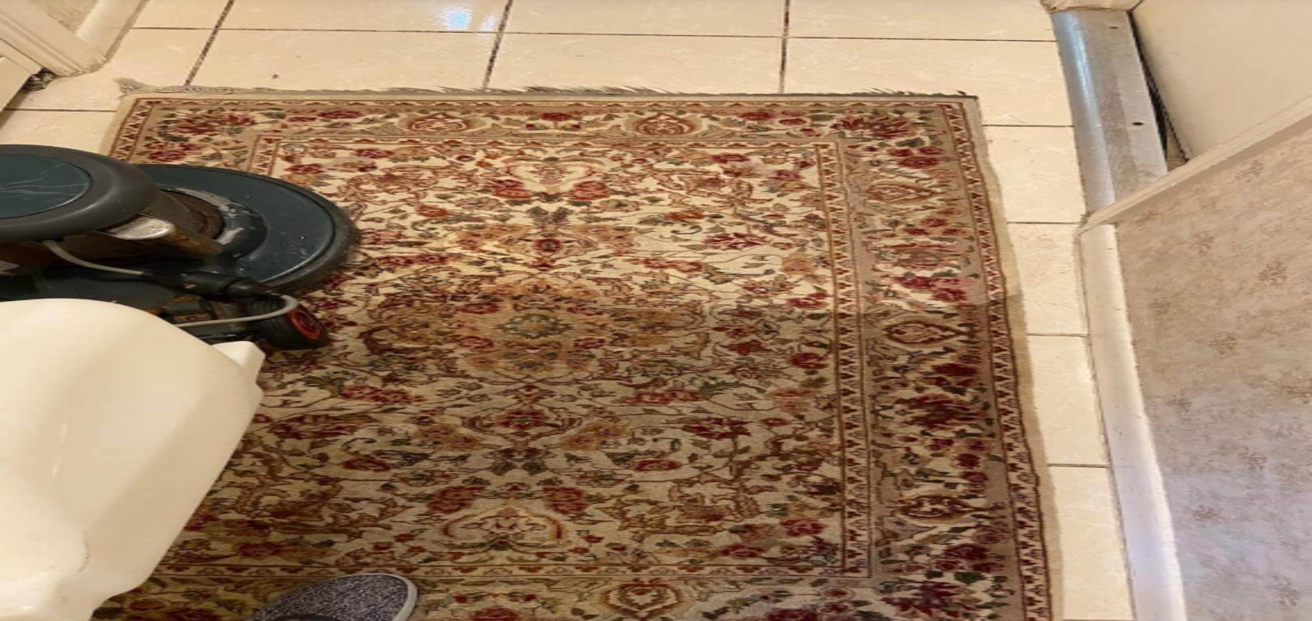 Carpet Cleaning